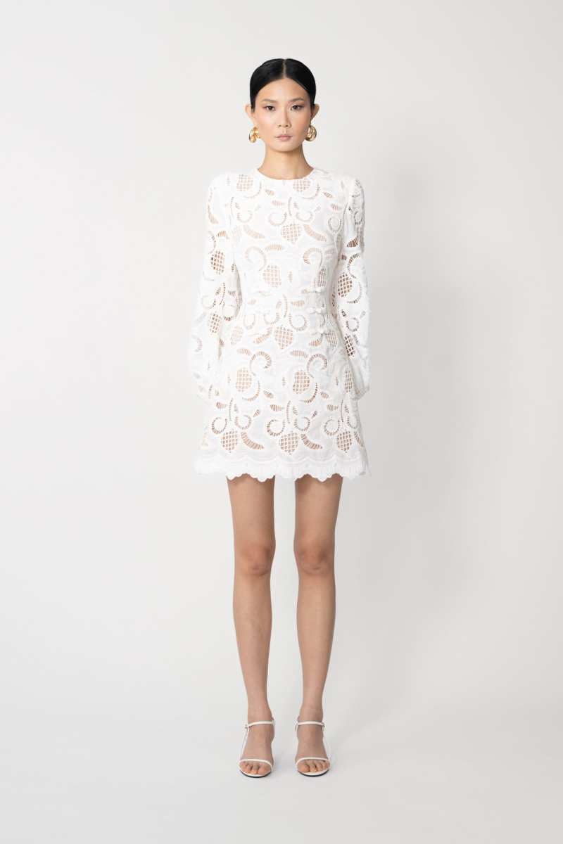 Hilda Embroidered Lace Dress